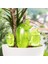 Yeşil Stil Bahçe Otomatik Sulama Aracı Sevimli Kuşlar Kapalı Damla Sulama Sulama Sistemi Kiti Saksı Bitki Suları Houseplant Için Spike (Yurt Dışından) 4