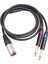 Çift 6.35MM 1/4 Xlr Erkek Y Splitter Kablosu, 3pin Xlr Erkek Çift 6.35MM Fiş Ses Mikrofon Kablosu, 3.3 Feet/1 Metre (Yurt Dışından) 1