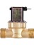 Su Isıtıcısı Için Su Vanası Anahtarı G3/4 Inç Pirinç Solenoid Valf AC220V (Yurt Dışından) 1