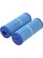 4CH-949 FC-0172 SD-01143 817-4050,PWW50L Küvet Filtresi Mavi 2'li Paket ile Uyumlu Havuz Filtresi (Yurt Dışından) 2