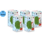 Matcha 5 Kutu Matcha Detox Çayı Orjinal Yeni Paket