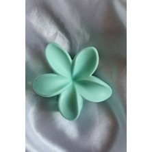 Trade Bazaar Lotus Mandal Pastel Mat Toka