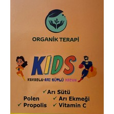 Hüdaverdi Kids - Ballı Kakaolu Arı Sütlü Çocuk Macunu