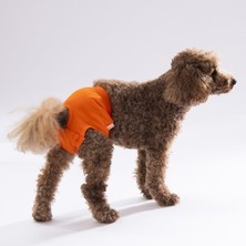 Pawstar Karışık Düz Renkli 1 Kedi Köpek Çamaşırı Regl Kilodu 3'lü Paket