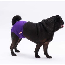 Pawstar Karışık Düz Renkli 1 Kedi Köpek Çamaşırı Regl Kilodu 3'lü Paket