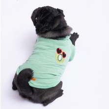 Pawstar Kiwi Polo Yaka Kedi Köpek T Shirt Kedi Köpek Kıyafeti