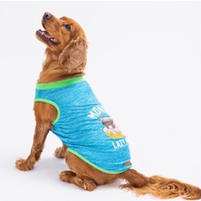 Pawstar Mavi Lazy Kedi Köpek Tişörtü Kedi Köpek Kıyafeti
