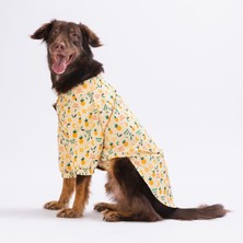 Pawstar Pineapple Büyük Köpek Gömleği Köpek Kıyafeti 15 Kg 45 Kg