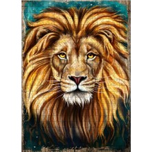 Tablomega Ahşap Mdf Puzzle Yapboz Uzun Tüylü Aslan Mavi Arkaplan 500 Parça 50*70 cm