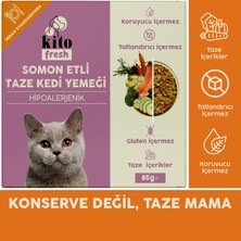 Fresh Somon Etli Kedi Yemeği 85 gr