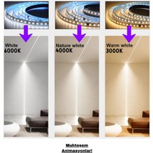 OEM Anahtarlı Akışkan Kayar Şerit LED Sistemi / 12 Volt / 20 Efekt