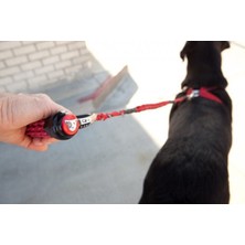 Ezydog Cujo  Dog Leash Kırmızı