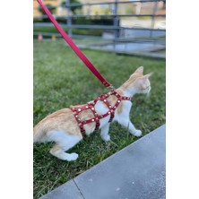 Angels Passion Full Body Kedi Harness, Kedi Gezdirme Tasması, Kedi Sokak Tasması - NPC011