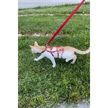 Angels Passion Full Body Kedi Harness, Kedi Gezdirme Tasması, Kedi Sokak Tasması - NPC011