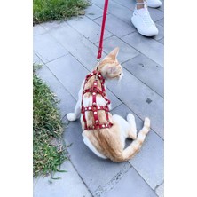 Angels Passion Full Body Kedi Harness, Kedi Gezdirme Tasması, Kedi Sokak Tasması - NPC011