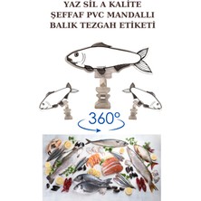 Manken İstanbul 10 Adet Yaz Sil Mini Boy Mandallı Balık Fiyatlık Etiketi Balıkçı Etiketi Balık Tezgah Etiketi