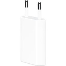 Sesatech Apple iPhone Uyumlu 5W USB Güç Adaptörü