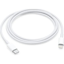 Sesatech Paleon Type-C To Lightning Şarj ve Data Kablo