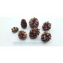 Yılbaşı, Yeni Yıl Noel Ağacı Süsleme Için Dekoratif Boyalı Kozalak Model 26