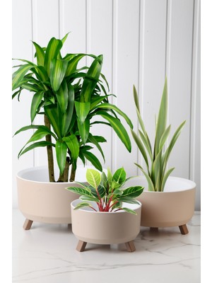 Sofra Mutfak Gereçleri 3'lü Drenajlı Saksı Seti - Yüksek Kaliteli Katlanabilir Tripot, Bej Modüler