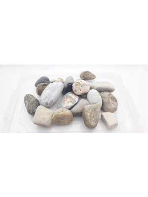 Seçilir Vernikli Karışık Doğal Iri Büyüklükte (40-100 Mm) Çakıl Taşı 2000 Gr