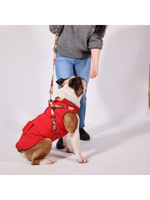 Pawlook Göğüs Tasmalı Köpek Montu Kırmızı