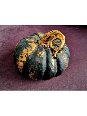 Morlalem 18CM Kabak Silikon Kalıp K-1082, Kokulu Taş Sabun Alçı Mum Kalıbı