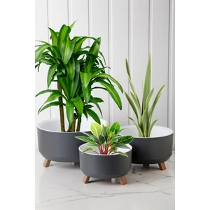 Nandy Home Tripot Model 3'lü Saksı Seti