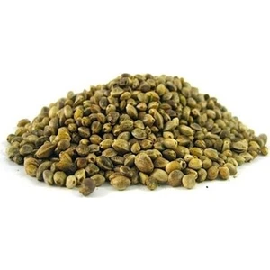 Badem Akvaryum Kuşlar Için Kenevir Tohumu Cedene 500 Gram