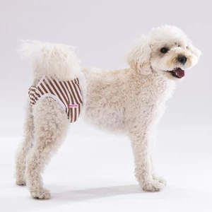 Çizgili Kedi Köpek Çamaşırı Regl Kilodu 3'lü Paket