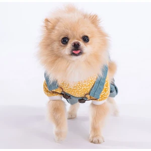 Mavi Denim Salopet Tişört Kombini Köpek Kıyafeti Köpek Tişört Tulum Kombini