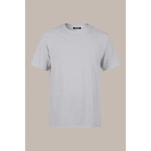 Erkek Gri Slim Fit Pamuklu Kısa Kollu Bisiklet Yaka T-Shirt