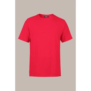 Erkek Kırmızı Slim Fit Pamuklu Kısa Kollu Bisiklet Yaka T-Shirt