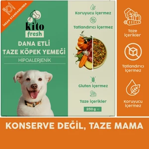 Fresh Dana Etli Taze Köpek Yemeği