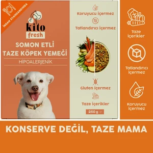 Fresh Somon Etli Taze Köpek Yemeği