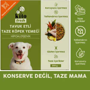 Fresh Tavuk Etli Taze Köpek Yemeği