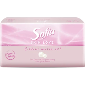 Skin Love Pudra Kokulu Mendil 100'LÜ