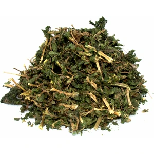 Isırgan Otu Yaprağı Urtica