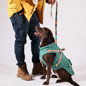 Göğüs Tasmalı Köpek Montu Yeşil
