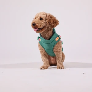 , Göğüs Tasmalı, Köpek Montu, Yeşil,köpek Yağmurluğu, Yeşil Köpek Yağmurluğu, Gimmerainturuncu