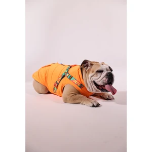 Göğüs Tasmalı Köpek Montu