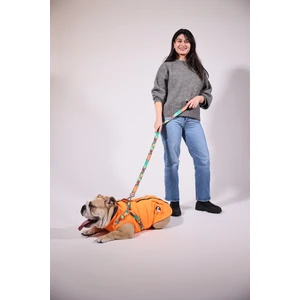 Göğüs Tasmalı Köpek Montu