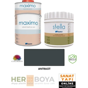 Stella Su Bazlı 500 ml Boya + 500 ml Maximo Set