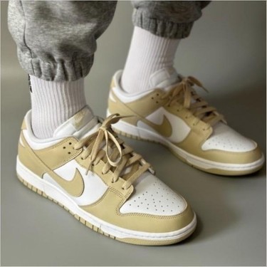 Nike Dunk Low Retro Bttys Erkek Ayakkabı DV0833-100 Fiyatı