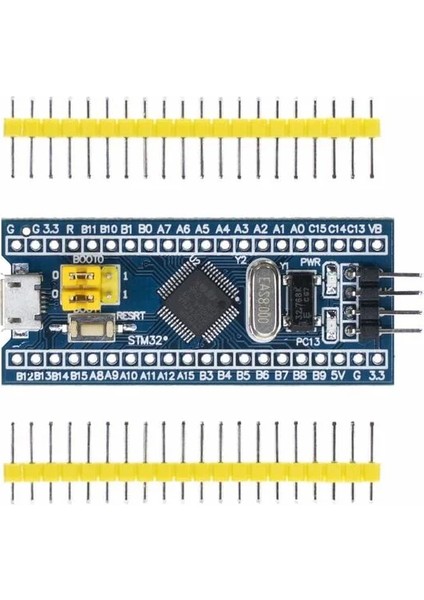 STM32F103C8T8A Geliştirme Kartı