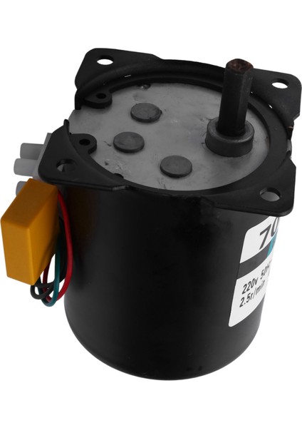 2x 220V Ac 40W Düşük Hızlı Dişli Motor 70KTYZ Sabit Mıknatıslı Senkron Motor Yüksek Torklu Düşük Gürültülü Motor (Yurt Dışından) fırsatları