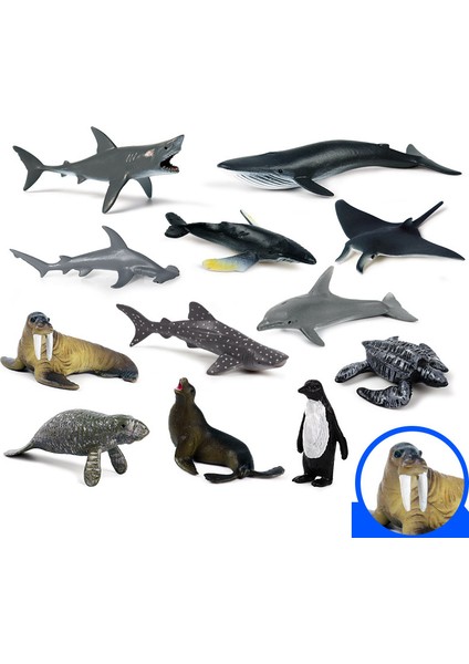 12 Adet Simülasyon Mini Deniz Hayvanı Dev Diş Balina Mavi Balina Penguen Yunus Modeli Oyuncak (Yurt Dışından)