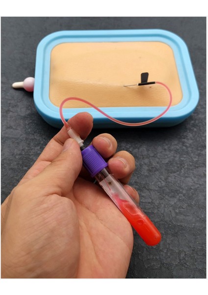 2pcs Enjeksiyon Egzersiz Modeli Intravenöz Kol Iğne Eğitim Diyagramı Kas Intradermal Öğretim (Yurt Dışından)