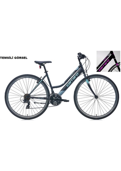 28J Carraro Actıve 282 Şehir Bisikleti - Mat Siyah Gri Mor - 40 Kadro