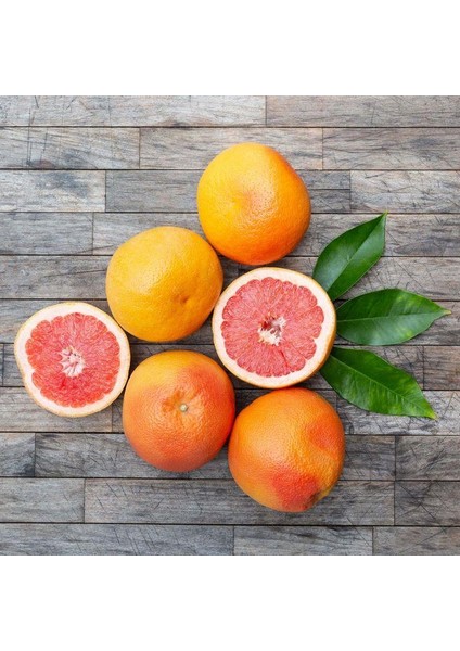 Tüplü Rio Red Greyfurt Fidanı modelleri